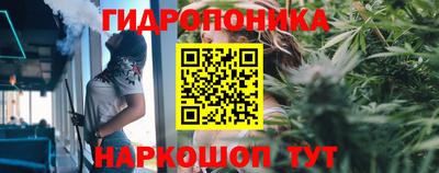 гидра Владимир