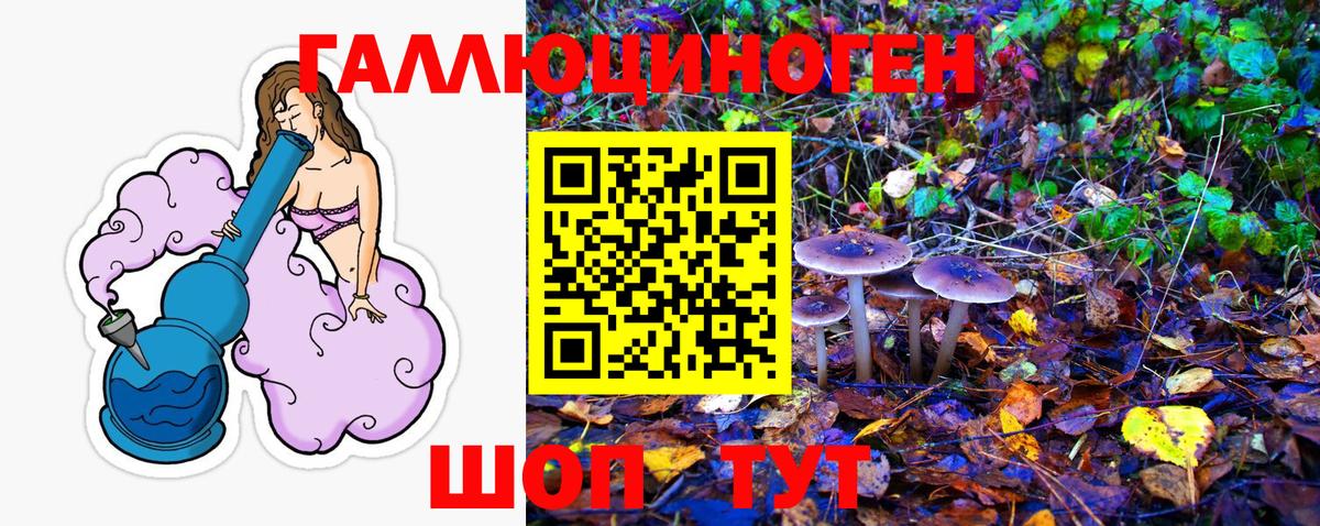 Псилоцибиновые грибы мицелий Минусинск